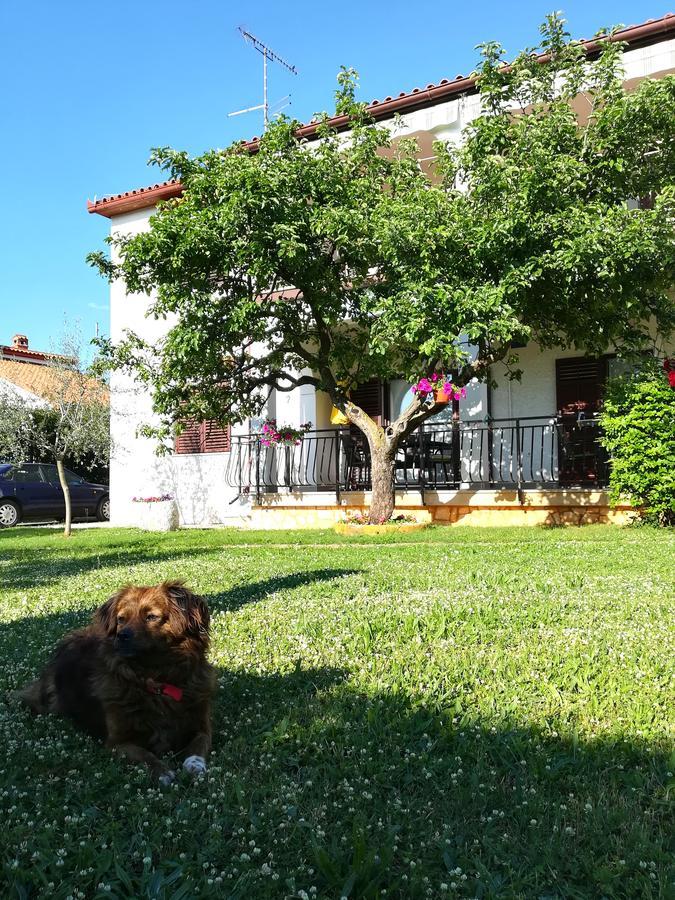 Villa Nina Πόρετς Εξωτερικό φωτογραφία